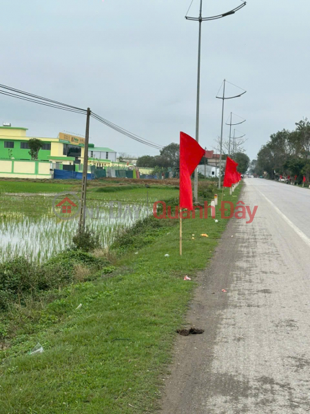 ĐẤT ĐẸP GIÁ TỐT –CHÍNH CHỦ CẦN BÁN ĐẤT QL47 – Xã Dân Quyền, Huyện Triệu Sơn, Thanh Hóa Việt Nam | Bán đ 2,65 tỷ