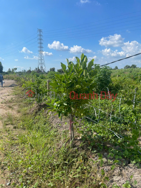 đ 550 triệu Bán 500m2 Đất Vườn Tại Đường ĐT816, Xã Bình Đức, Huyện Bến Lức, Long An