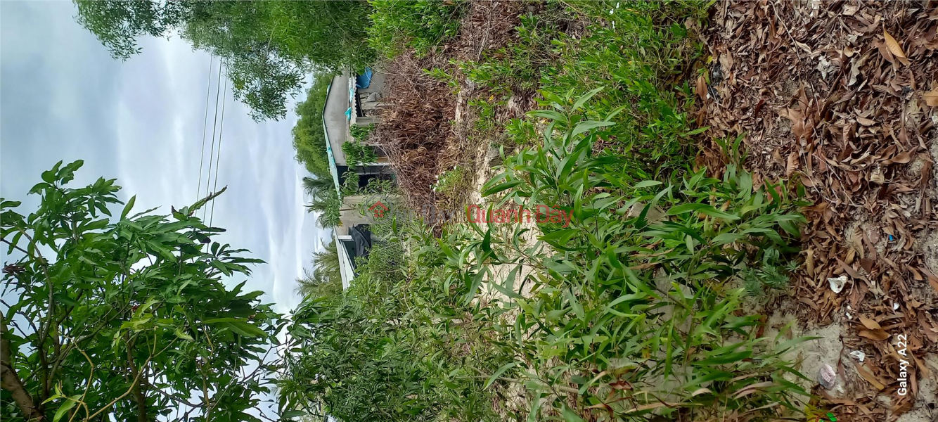 BEAUTIFUL LAND - GOOD PRICE - OWNERS FOR SALE LOT OF LAND WITH FREE HOUSE AVAILABLE in Xuan Hai, Tx. Song Cau, Phu Yen Sales Listings