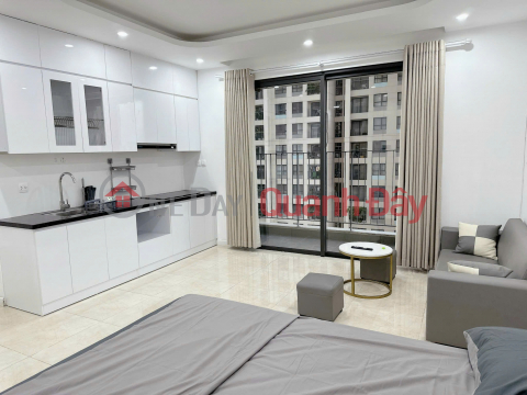 Studio apartment for rent, 38m2, Vinhomes D'Capitale - cool southeast facing, million-dollar lake view, fully furnished - 14.5 million VND/month _0