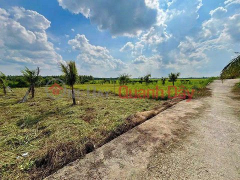 Chỉ Với 350 Triệu Sở Hữu Ngay Lô Đất Vườn 400m2 Tại Xã Tân Phú, Đồng Tháp(TX Cai Lậy, TG cũ) _0