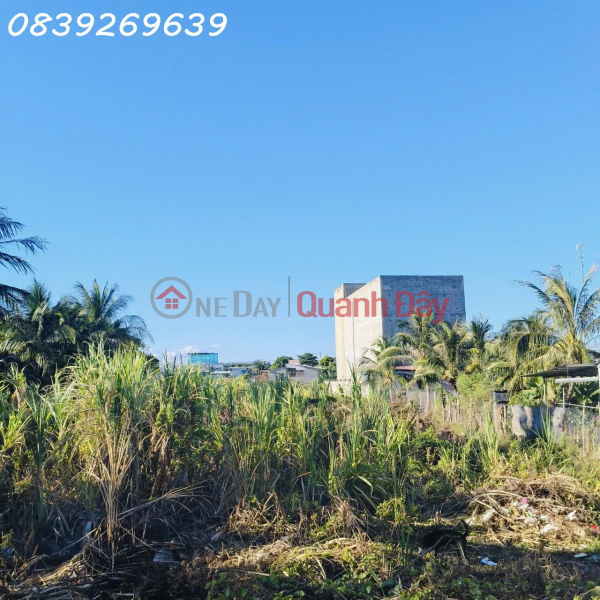 Property Search Vietnam | OneDay | Residential Sales Listings, Agricultural land for sale in Dao Long, near An Long intersection, 300m from Thong Nhat road.