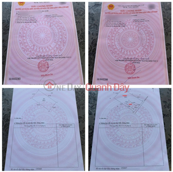 đ 1.3 Billion Get an immediate discount of 100 million VND - Own a beautiful fruit orchard now - An Binh Commune, Vinh Long - Existing residential area
