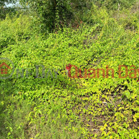 Chính Chủ 179m2 Đất Tại Ấp 2, Xã Hữu Thạnh, Huyện Đức Hoà, Long An. Full Thổ Cư. _0