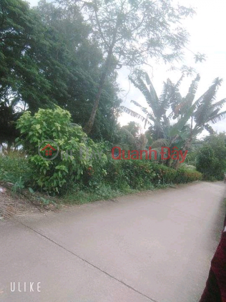 OWN A LOT OF LAND NOW - GOOD PRICE IN Tran Van Thoi district, Ca Mau province | Vietnam, Sales | ₫ 60 Million