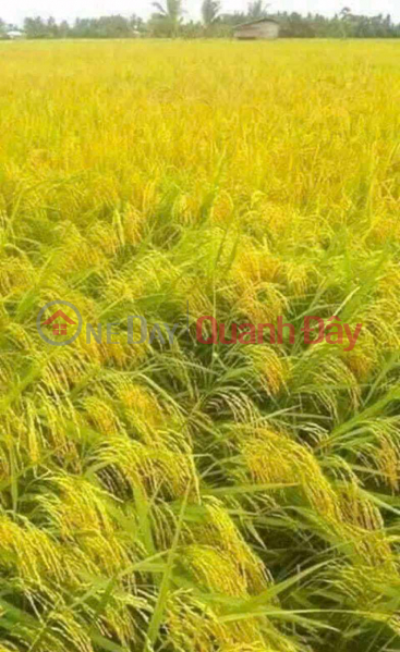 939 Niêm yết bán (TRANVANHIEN-845892932)