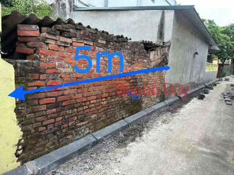 HIẾM! BÁN NHANH LÔ ĐẤT ĐẸP 65m2 Mt5m -Lô F0 vị trí đẹp tại Lương Quy _0
