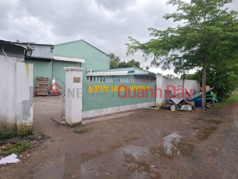 Owner selling a 1,800m2 factory in Go Dau, Tay Ninh - Currently producing animal feed, price 8 billion VND. _0