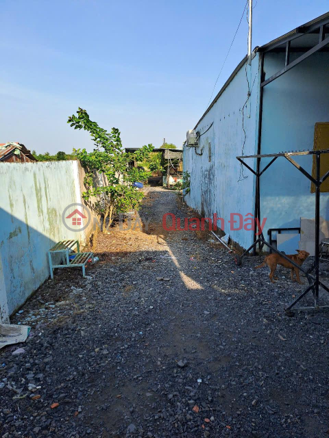 Owner Needs to Sell a Beautiful Land Plot in Phu Huu Commune, Chau Thanh District, Dong Thap _0