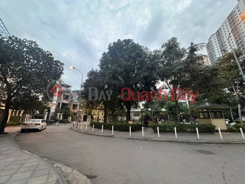 Villa for sale C37 To Huu, 145-165m2, 4 floors, beautiful flower garden view _0