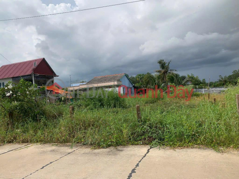 OWNER Urgently Needs to Sell Land in Thuan My Commune, Chau Thanh District, Long An Province _0