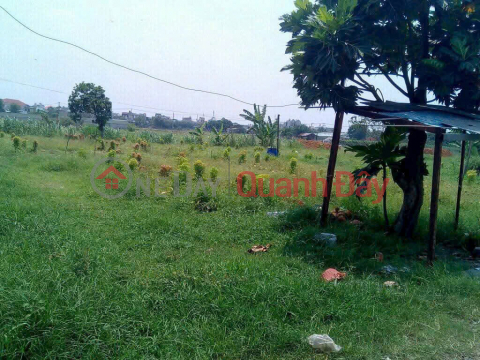 ĐẤT CHÍNH CHỦ - GIÁ TỐT - Xã Xuân Thới Sơn, Huyện Hóc Môn, TP Hồ Chí Minh _0