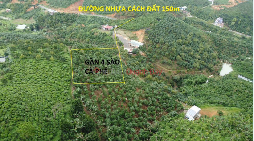 đ 2.1 Billion, BEAUTIFUL LAND - GOOD PRICE - Land Lot For Sale Prime Location In Loc Thanh Commune, Bao Lam District, Lam Dong