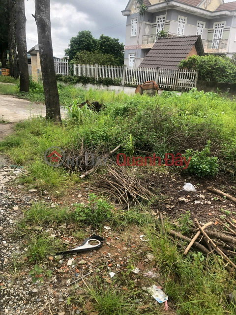 LAND IN GOOD LOCATION - GOOD PRICE - Urgent Sale Lot of Land in Hamlet 6, Hiep Thanh Commune, Chau Thanh, Long An. _0