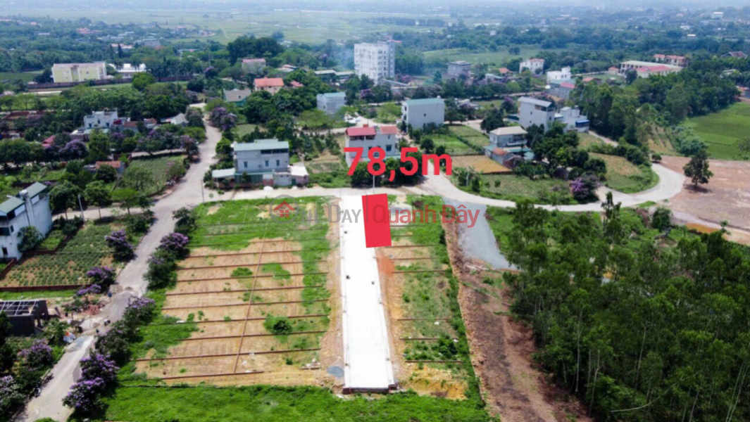 OWNER'S LAND - Beautiful Location Vai Reo Resettlement Area, Phu Cat, Quoc Oai Sales Listings