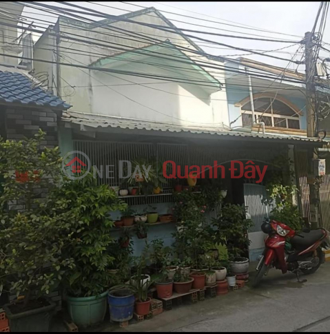 GENERAL For Quick Sale Old House Level 4 In Binh Chanh-HCMC _0