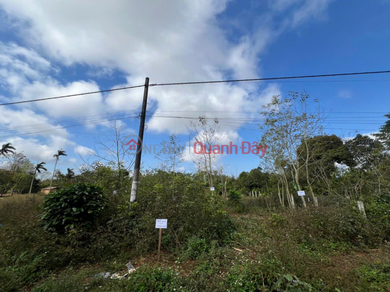 OWNER'S LAND - QUICK SALE OF LAND PLOT IN CU BAO COMMUNE, BÔN HO TOWN, ĐẠK LẠK | Vietnam Sales, đ 480 Million