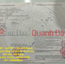 BEAUTIFUL LAND - GOOD PRICE - FOR QUICK SALE Beautiful Land with Full Red Book, Residential Land in Loc An Commune, Bao Lam, Lam Dong BEAUTIFUL LAND - GOOD PRICE - FOR QUICK SALE Beautiful Land with Full Red Book, Residential Land in Loc An Commune, Bao Lam, Lam Dong _0