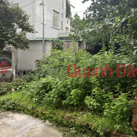 Cao Lo land for sale, 56m x 5m corner lot, 20m car lane, price slightly 2 billion Contact: 0936123469 _0