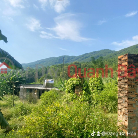 THE OWNERS NEED TO GET OUT Plot Land - Investment Price At Cua Ong Dam - Nam Nghia - Nam Dan - Nghe An _0