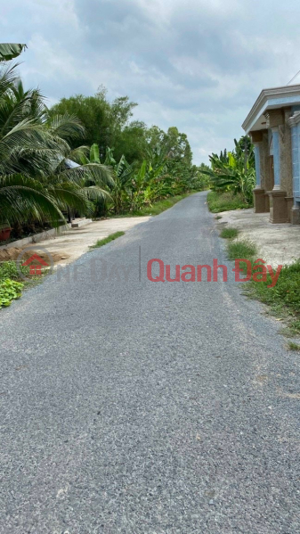 Need to sell quickly residential land in Tan Hanh commune, Vinh Long city, Vietnam Sales, ₫ 830 Million