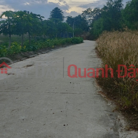 Selling urgently, the owner has a lot of debt, 573m2 of land near Phu Chanh market, Tan Uyen, price 2.2 billion _0