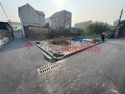 Bán đất thôn Đồng Nguyên Khê (cũ) - Phúc Thịnh - 52m Lô góc - Ô tô tránh _0
