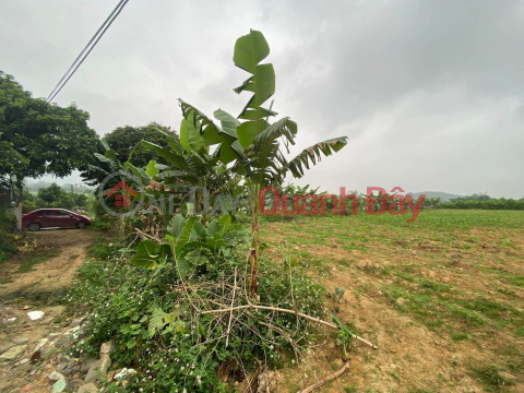 Land for sale in Bot Village - Phu Thanh - Lac Thuy - Hoa Binh Area: 2904m MT: 55m 3.6 billion. _0