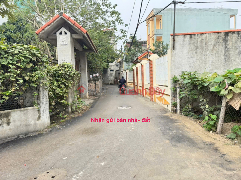 Property Search Vietnam | OneDay | Residential | Sales Listings, Potential residential land for sale in Village 1, Thach Da, Me Linh, Hanoi - Golden location, attractive investment price!