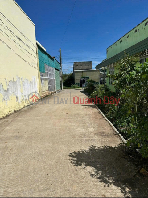 Bán đất 115m2 Phú Hội Đức Trọng Lâm Đồng Giá 1 tỉ 050 triệu _0