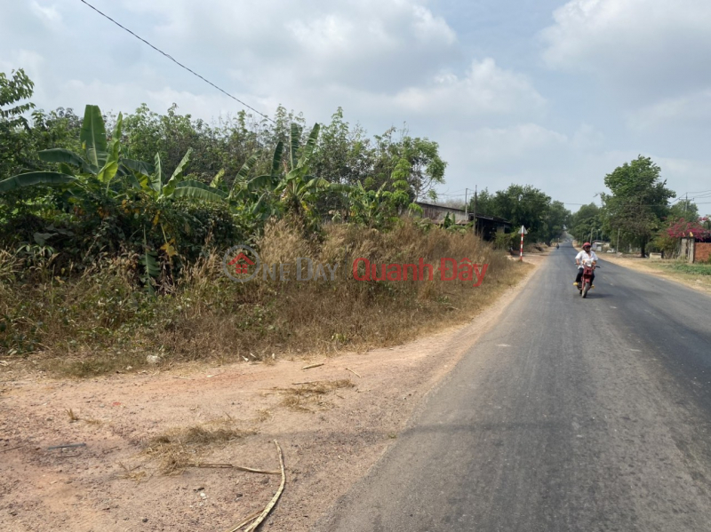 ₫ 8 Billion OWNER FOR SALE 2 Lots of Land FRONT FRONT Beautiful Location In Thanh Binh Commune, Tan Bien, Tay Ninh