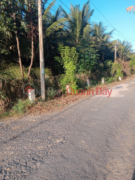 OWNER Needs to Sell a Lot of Land in a Super Prime Location on DT. 907 Road, Trung Hiep Commune, Vung Liem, Vinh Long Sales Listings