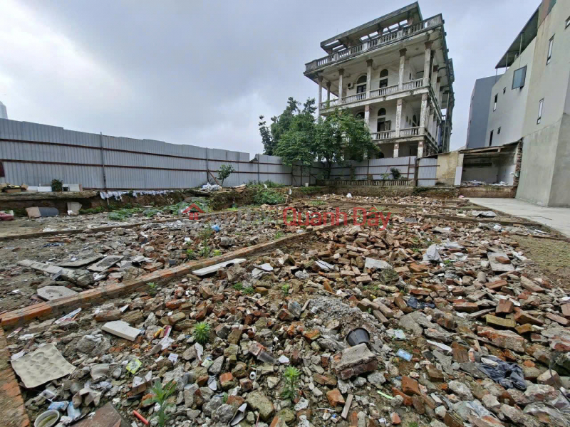Act fast to own this prime plot of land at 173 Ngoc Hoi Street, Thanh Tri Commune - ideal for business. Vietnam, Sales | đ 6 Billion