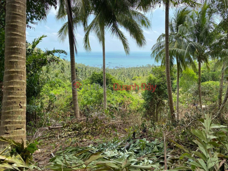 PRIME LAND - GOOD PRICE - Need to Sell Quickly in Lai Son Commune, Kien Hai, Kien Giang Sales Listings