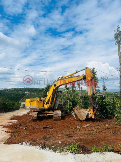 CẦN BÁN NHANH LÔ ĐẤT TẠI Tân Hà - Lâm Hà - Lâm Đồng _0