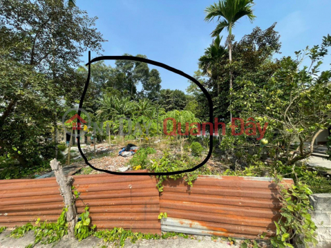 BEAUTIFUL LAND - GOOD PRICE - Owner Needs to Sell Land Lot with Beautiful Location In An Duong Town, Hai Phong _0