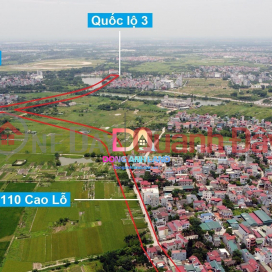 Land sale at auction of X2 Dai Bi village, Uy No commune, Dong Anh district, Hanoi city. _0