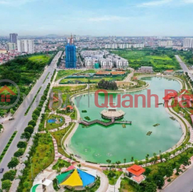 Ngoc Thuy mini villa, 120m x 3 floors, 6m frontage, landscaped garden, car access _0