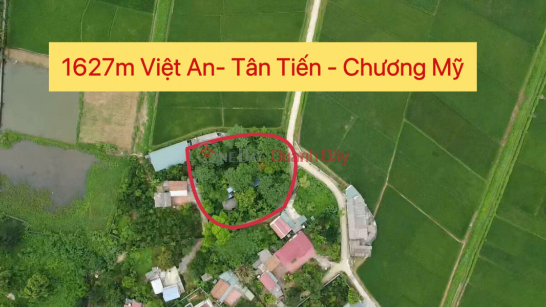 BÁN LÔ ĐẤT DIỆN TÍCH TO 1627M TẠI TÂN TIẾN ( HIỆN TẠI XÃ XUÂN MAI)-CHƯƠNG MỸ-HÀ NỘI Niêm yết bán
