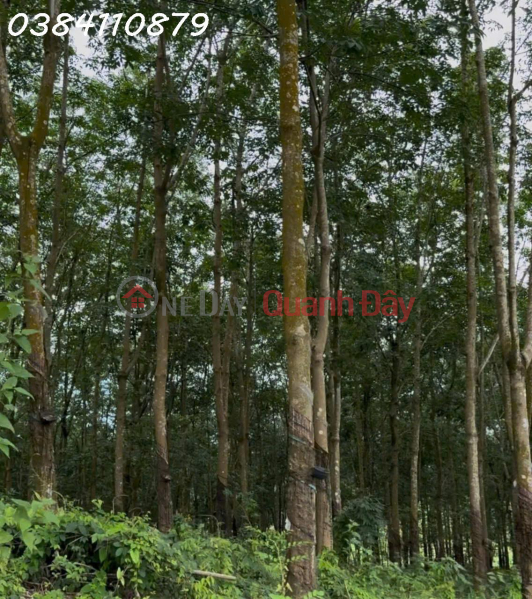  | Please Select, Residential Sales Listings | đ 3 Billion