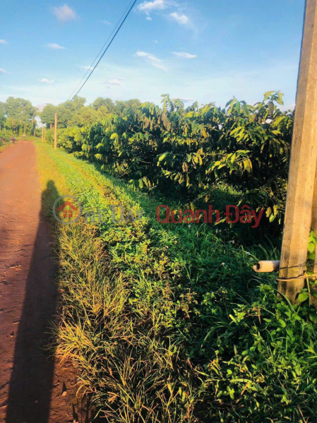 đ 760 Million, LAND FOR SALE BY OWNER - CHEAP LAND LOT, Beautiful Location In Dak Doa District, Gia Lai