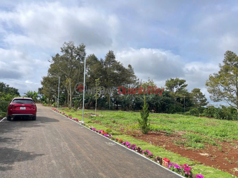Bán đất xã liên hiệp đức trọng 970 triệu- sổ riêng đất xây dựng Niêm yết bán