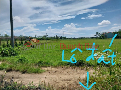 BEAUTIFUL LAND - Owner for sale Land Lot with Rice View, East facing, rare in Cam Kim, Hoi An, Quang Nam _0