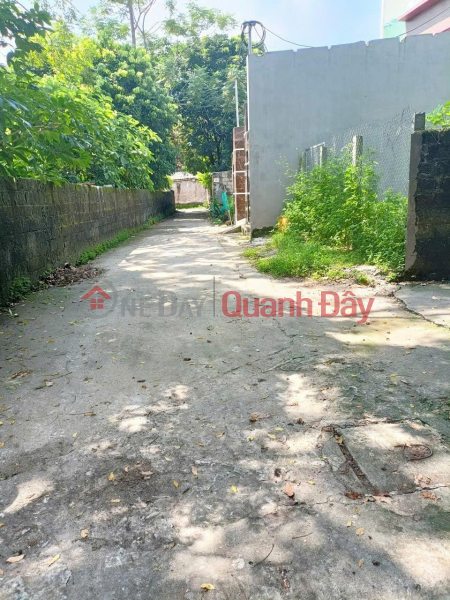 Property Search Vietnam | OneDay | Residential, Sales Listings, GOOD LOCATION - GOOD PRICE - OWNER Urgently Need to Sell Land Lot located in Son Tay Town, Hanoi City