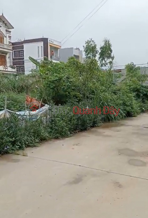 Owner needs to sell a prime plot of land in Soc Son - Price only 12 million VND\/m2 - Excellent location. _0