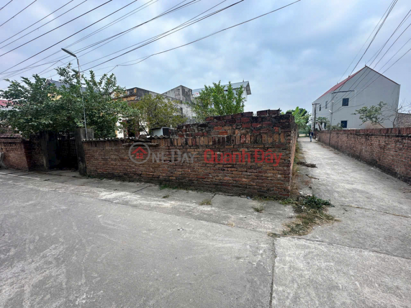 THE BEST IN THAI DUONG HIEN NINH SOC SON HANOI --- AREA 90 M FUN RESIDENTIAL LAND, Vietnam Sales | đ 20.5 Billion