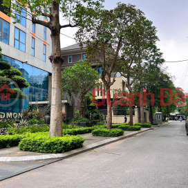 Family transfers school for child to sell house, car on Vinh Phuc street - Ba Dinh, Hanoi _0