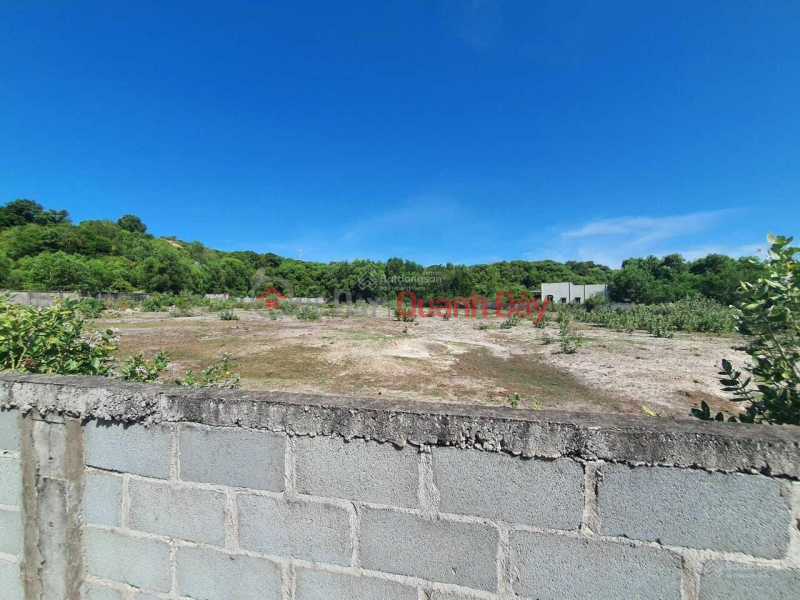 Property Search Vietnam | OneDay | Residential Sales Listings, Super nice land on the road, near Ho Tram beach.