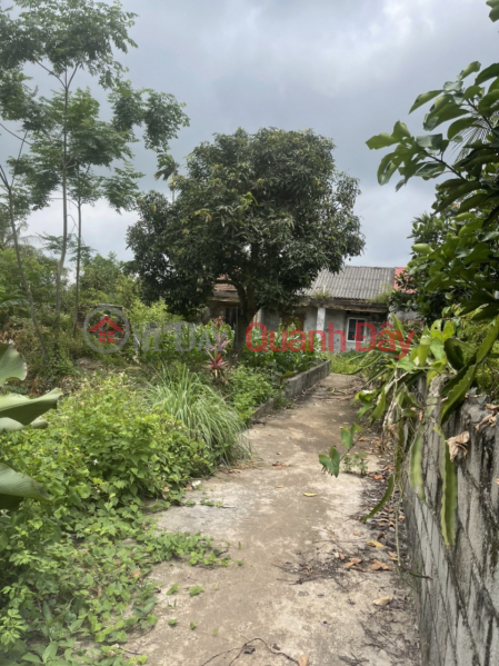 Property Search Vietnam | OneDay | Residential | Sales Listings | For sale plot of land 320m across 10 Tran Duong Vinh Bao, Hai Phong