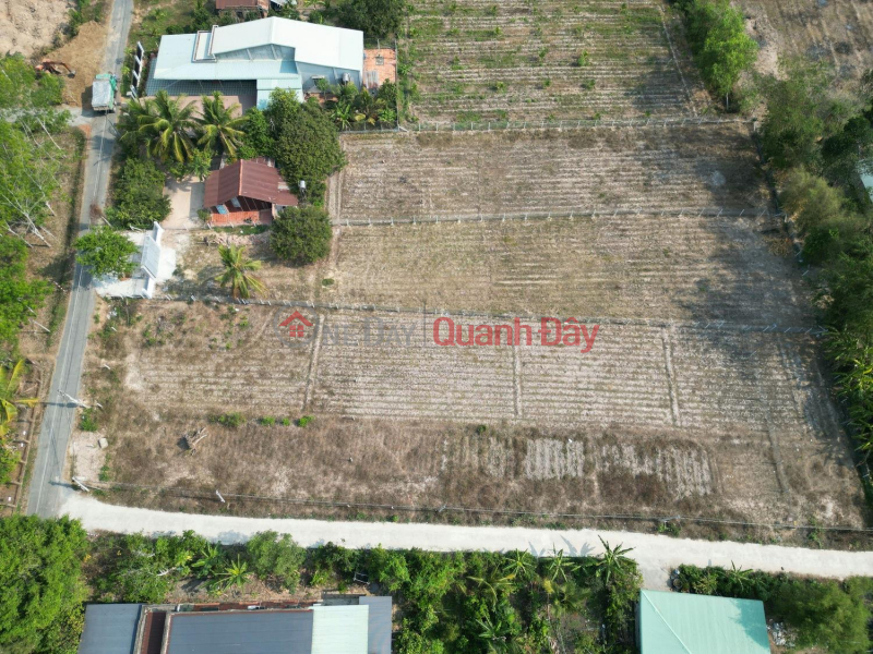 CHÍNH CHỦ BÁN GẤP TRONG THÁNG – ĐẤT FULL THỔ CƯ GẦN KCN HIỆP THẠNH 576HA Niêm yết bán